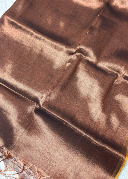 Rust Plain Raga Tissue Silk
